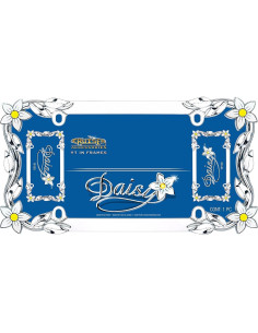Marco de Placa de Licencia Cruiser Accessories 19130 Margarita 2