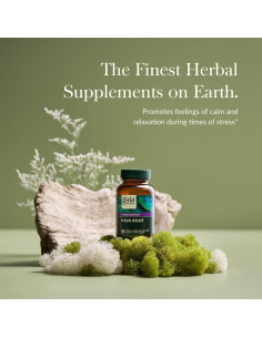 Gaia Herbs Raíz de Kava 60 Cápsulas Veganas - Relajación Natural 2