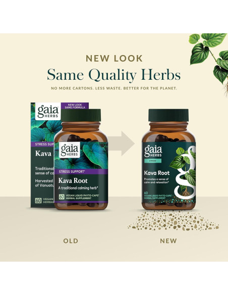 Gaia Herbs Raíz de Kava 60 Cápsulas Veganas - Relajación Natural