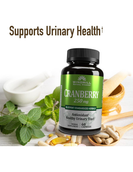 Cápsulas de Arándano 250 mg Windmill 60 Unidades