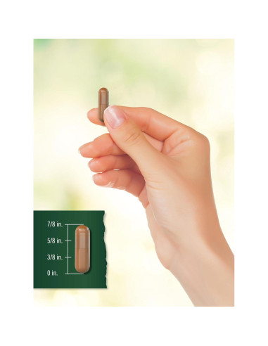 Cápsulas de Baya de Espino Tahoe Nutritionals 1695mg 250 Unidades