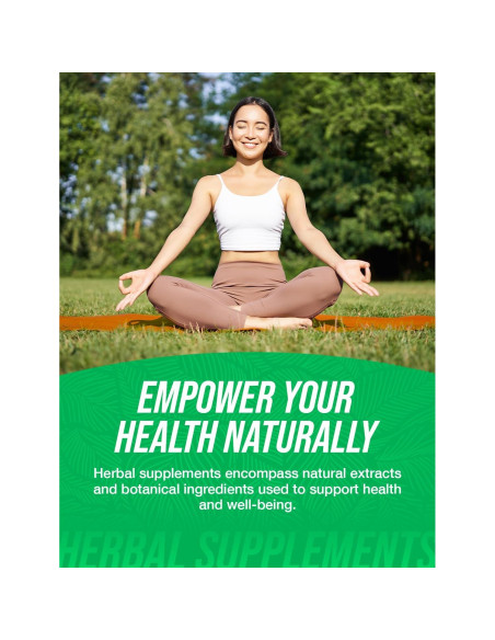 Cápsulas de Ginkgo Biloba BulkSupplements 200mg - 180 Veganas