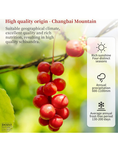 Té de Baya de Schisandra DOZO 220g - Sin Cafeína, Natural
