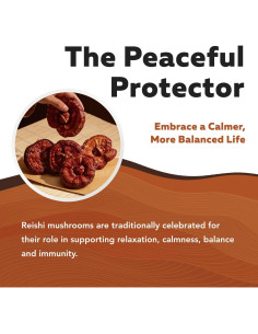 Cápsulas de Hongo Reishi Orgánico Triquetra Health 60 Unidades 2