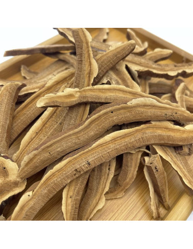 Rodaja de Hongo Reishi Rojo Seco Greenlike 227g