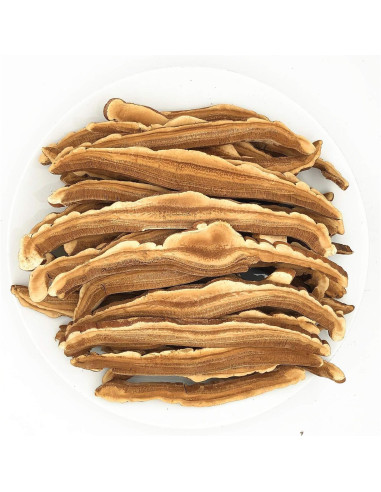 Rodaja de Hongo Reishi Rojo Seco Greenlike 227g