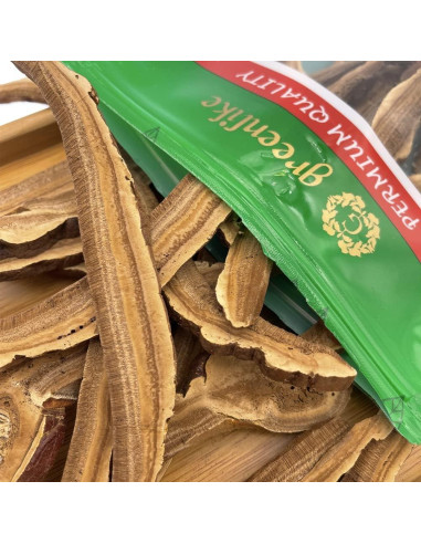 Rodaja de Hongo Reishi Rojo Seco Greenlike 227g