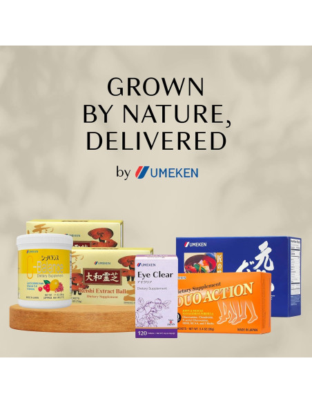 Bolas de Extracto de Hongo Reishi Umeken, 60 Paquetes, 2 Meses