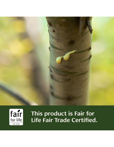 Tabletas Kanchanar Guggulu Banyan Botanicals - 90 Tabletas Veganas Tabletas Kanchanar Guggulu Banyan Botanicals - 90 Tabletas Veganas