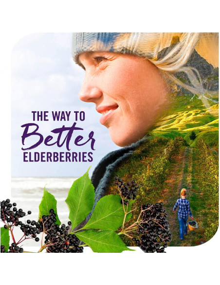 Jarabe Inmunológico Sambucus Nature's Way Sin Azúcar 240 mL