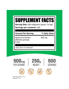 Polvo de Extracto de Menta Verde BulkSupplements 250g Grado Alimenticio 2