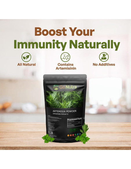 Polvo de Ajenjo Dulce Go Nutra 227 g - Artemisia Annua Pura