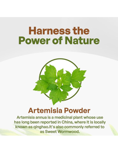 Polvo de Ajenjo Dulce Go Nutra 227 g - Artemisia Annua Pura