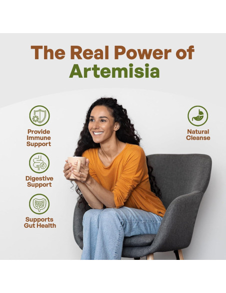 Polvo de Ajenjo Dulce Go Nutra 227 g - Artemisia Annua Pura