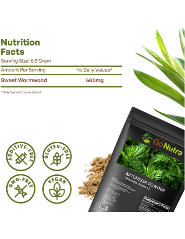 Polvo de Ajenjo Dulce Go Nutra 227 g - Artemisia Annua Pura