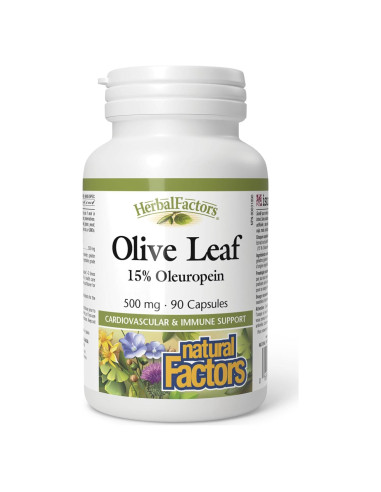 Cápsulas de Hoja de Olivo 500 mg Factores Naturales 90 Unidades