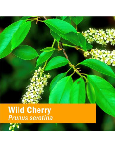 Extracto Líquido de Corteza de Cereza Silvestre Herb Pharm 60 ml - Paquete de 2 2