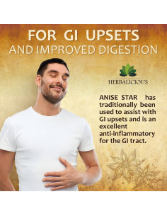 Suplemento de Anís Estrellado Herbalicious - 100 Cápsulas 500mg 2