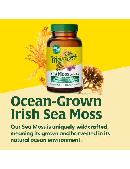 Suplemento Vegano MegaFood Musgo Marino Irlandés 7000mg 120 Cápsulas Suplemento Vegano MegaFood Musgo Marino Irlandés 7000mg 120 Cápsulas