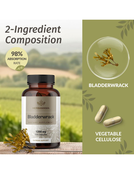 Cápsulas de Bladderwrack Herbamama 1200mg - Suplemento Vegano