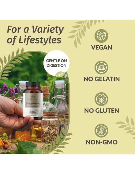 Cápsulas de Bladderwrack Herbamama 1200mg - Suplemento Vegano