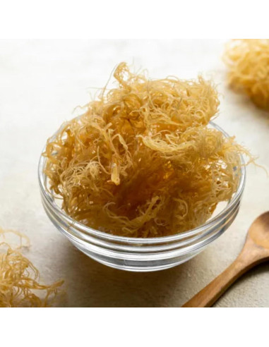 Musgo Marino Irlandés Earthborn Elements 200 Cápsulas Puras