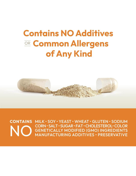 ANDREW LESSMAN Complejo de Vitamina C 500 - 60 Cápsulas No Ácidas