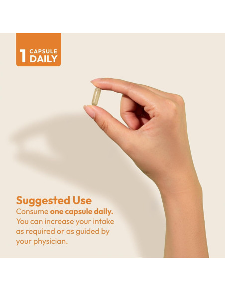 ANDREW LESSMAN Complejo de Vitamina C 500 - 60 Cápsulas No Ácidas