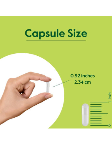 Suplemento de Guggul 500mg Bestvite 120 Cápsulas Veganas