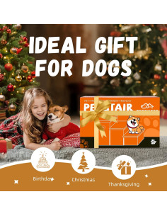 Escaleras para Perros Zerbuger 3 Pasos Plegables 76.2 cm Gris 2