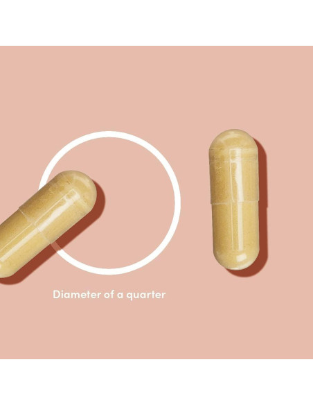 Vitamina C de Alimentos Integrales Amazon Elements 60 Cápsulas Vitamina C de Alimentos Integrales Amazon Elements 60 Cápsulas