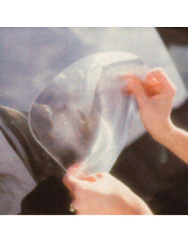 Lente Gran Angular CIPA 60100 para Vehículos - 20.32x25.4 cm