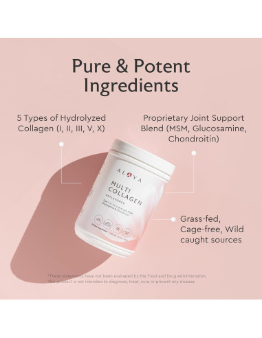 Alaya Polvo de Colágeno Múltiple Tipo I, II, III, V, X - 40 Porciones