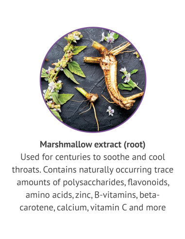 Extracto Líquido de Raíz de Malvavisco Botanic Choice 29.57 ml - Sin Alcohol, Sin Gluten