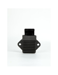 Regulador de Voltaje Rectificador ChenXL DT17-037M 250W 5 Pines 2