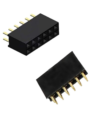 Conector de cabecera hembra 2x6Pin Sopepoyie 12 pines 20PCS
