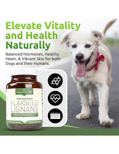 Suplemento de Semilla de Lino Orgánico Lignanos 15mg 90 Cápsulas