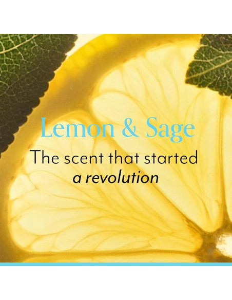 Duo Jabón de Manos y Manteca Corporal Bliss - Limón y Salvia