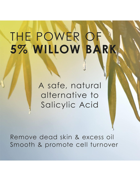 Spray Exfoliante BHA TEMPTU 5% Natural para Piel 255g