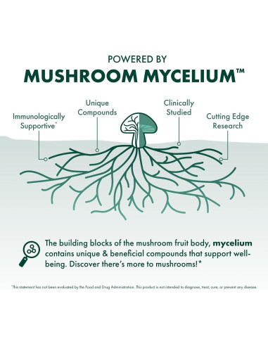 Cápsulas de Chaga Host Defense - Suplemento Inmunológico 60 Unidades