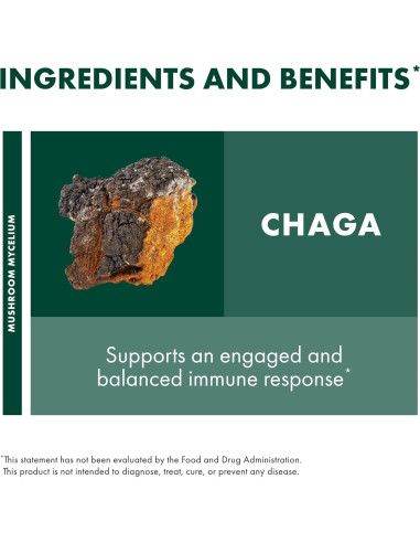 Polvo de Chaga Host Defense 99.22 g - Suplemento Inmunológico