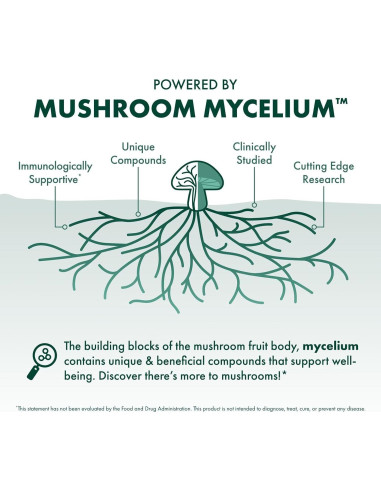 Polvo de Chaga Host Defense 99.22 g - Suplemento Inmunológico