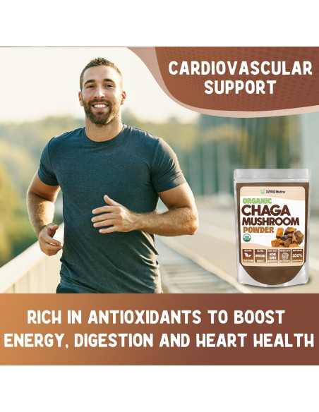 Polvo de Hongo Chaga Orgánico XPRS Nutra 113.4g - Superalimento