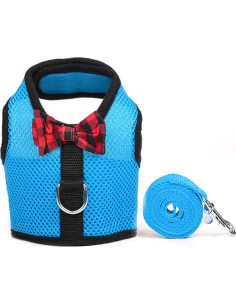 Arnés y Correa para Cobayas Rypet - Malla Suave y Acolchado 2