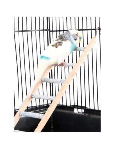 Escalera de 9 Pasos Bird-Life Penn-Plax de Cemento y Madera 2