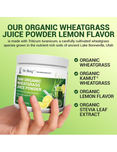 Dr. Berg Polvo Verde Orgánico 60 Porciones - Superalimento