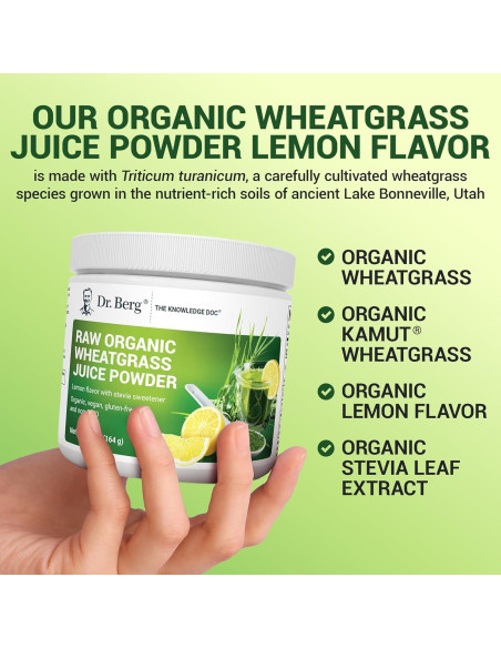 Dr. Berg Polvo Verde Orgánico 60 Porciones - Superalimento