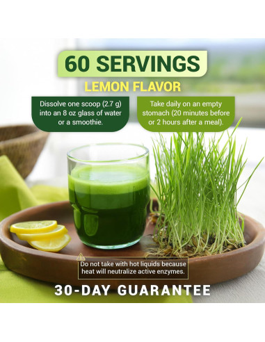 Dr. Berg Polvo Verde Orgánico 60 Porciones - Superalimento