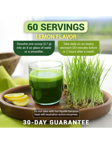 Dr. Berg Polvo Verde Orgánico 60 Porciones - Superalimento