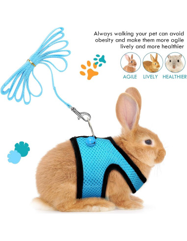 Arnés Suave para Cobayas SATINIOR con Correa y Campana - S